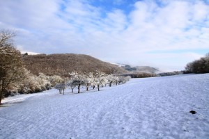 Obereisenbach im Winter